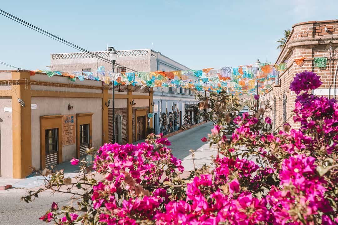 Todos Santos street with bougainvillea