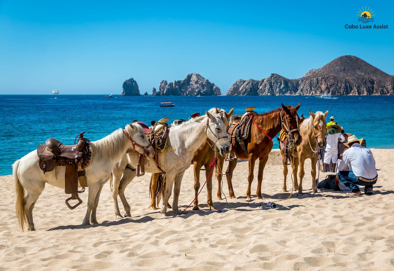 Saddled horses on Cabo beach sand with blue ocean and Land's End across the bay